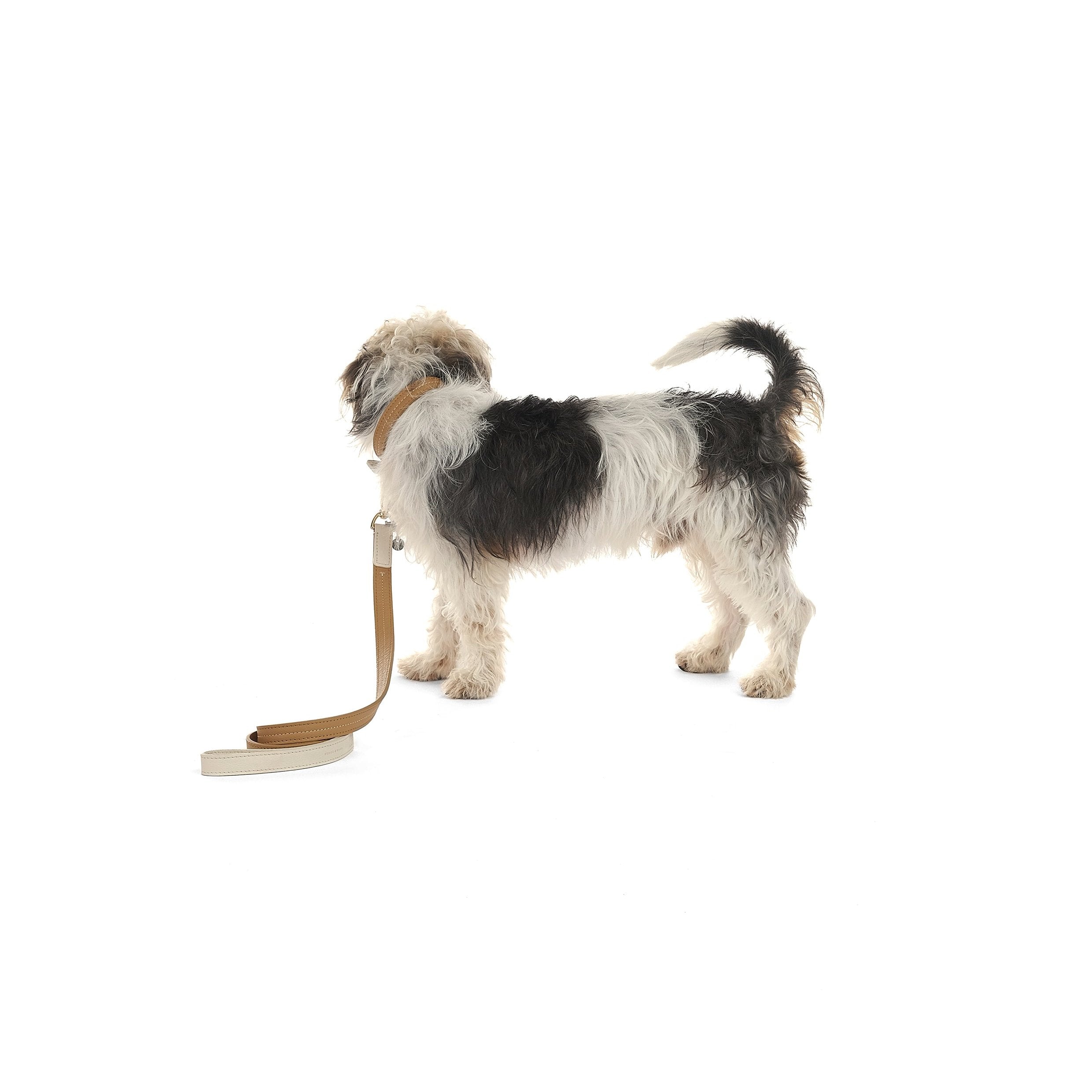 M_M.21.5.24.Creative2446S